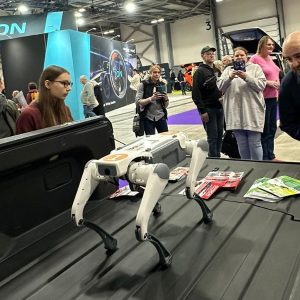 Everything Electric Show